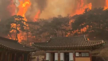 Suben a 26 los muertos por los incendios forestales en Corea del Sur