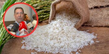 Aseguran precios de arroz permanecen normalizados