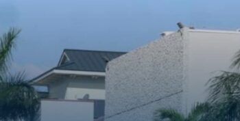 Hombre mata a su pareja y a tres de sus hijos en Florida