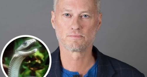 Un ‘youtuber’ que se dejó picar por 200 serpientes es clave en un antídoto que neutraliza el veneno de 19 especies