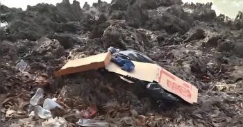 Encuentran cuerpo de niño en estado de descomposición en el Malecón