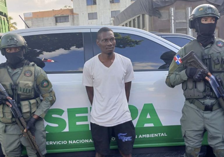 Detienen haitiano que mató tiburón en playa Guayacanes