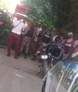 Árbol derribado obstruye carretera Monte Plata-Santo Domingo
