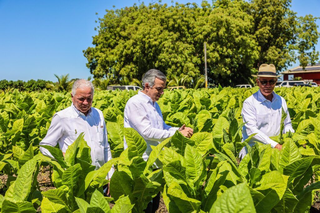 Tabaco dominicano llega a 148 países informó Intabaco