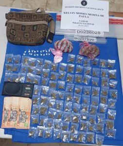 DNCD incauta más de 597 mil gramos de drogas 