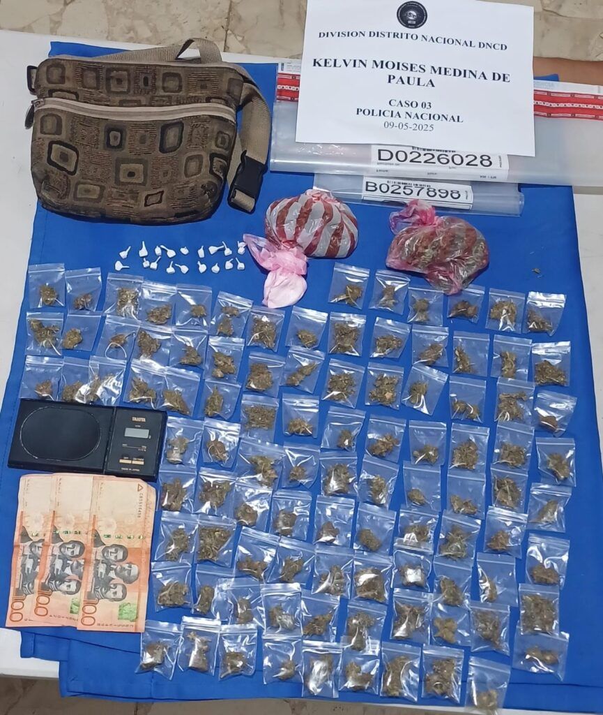 DNCD incauta más de 597 mil gramos de drogas