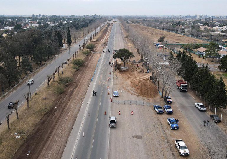 Traslado de un árbol provoca protestas en Argentina