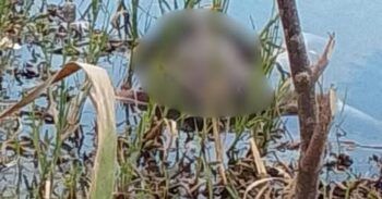 Hallan cadáver en estado de descomposición en río de Nagua