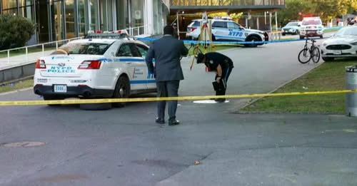 Hombre muere arrollado por patrulla policial en Nueva York