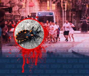 Alarma entre dominicanos en New York por  aparición de chinche asesina