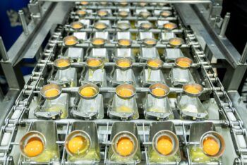 Huevo líquido pasteurizado: alternativa para la industria alimentaria en RD