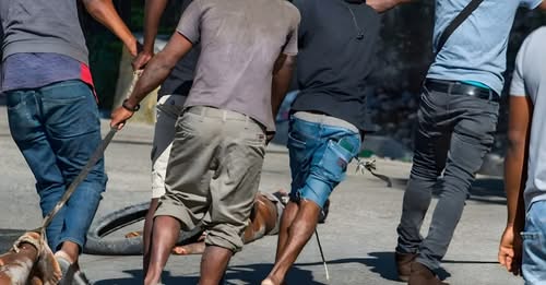 Varios muertos tras pelea por peajes entre dos pandillas en Haití