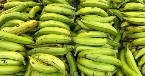 El precio del plátano podría alcanzar los RD$50 por unidad