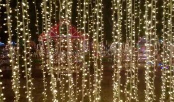 Presidencia de RD anuncia sorpresas para familias dominicanas esta Navidad