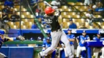 Leones blanquean al Licey