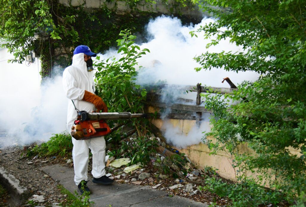 RD cierra 2025 con cero muertes por dengue y reducción histórica de casos