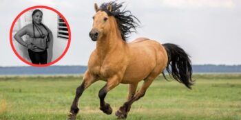 Muere mujer tras caer de caballo en Hato Mayor