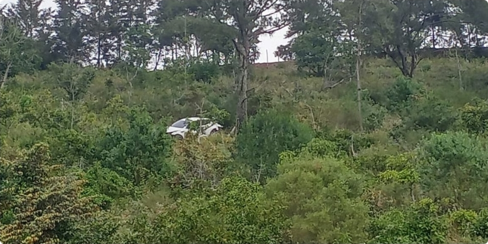 Carro cae al precipicio en Constanza