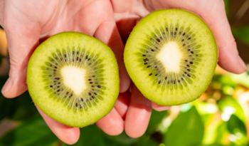 Comer kiwi todos los días puede mejorar la piel, el sueño, la digestión y el estado de ánimo