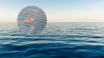 Hombre sobrevive 17 horas en el mar en Brasil agarrado a una puerta