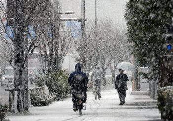 Suben a 35 los muertos por la nieve en Japón