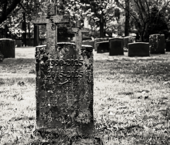 Nueva ley permite que mascotas sean enterradas con sus dueños en Brasil