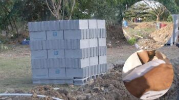 Residentes de Ciudad Satélite denuncian invasión de terrenos en la autopista Duarte