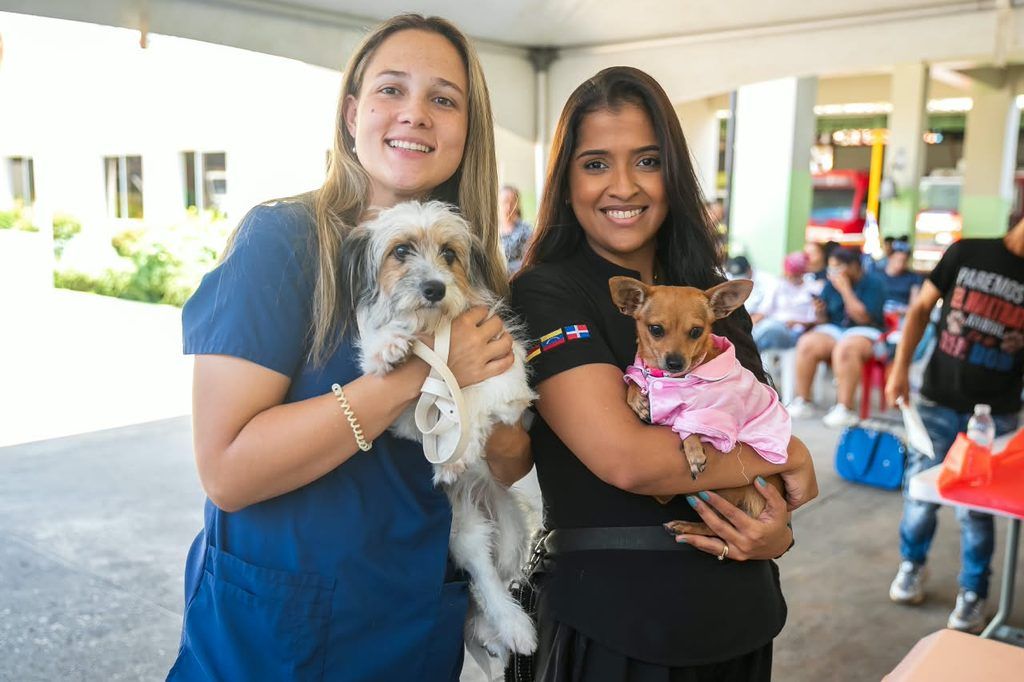Alcaldía del DN esteriliza 102 animales y coloca 530 vacunas en jornada de este fin de semana