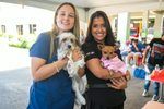 Alcaldía del DN esteriliza 102 animales y coloca 530 vacunas en jornada de este fin de semana