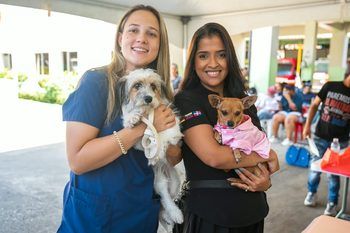 Alcaldía del DN esteriliza 102 animales y coloca 530 vacunas en jornada de este fin de semana